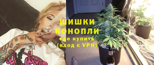 индика Балабаново