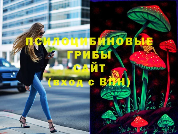 индика Балабаново