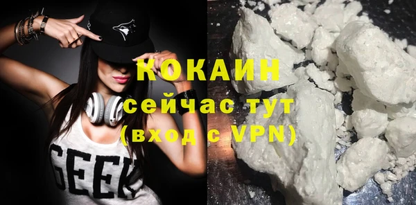индика Балабаново