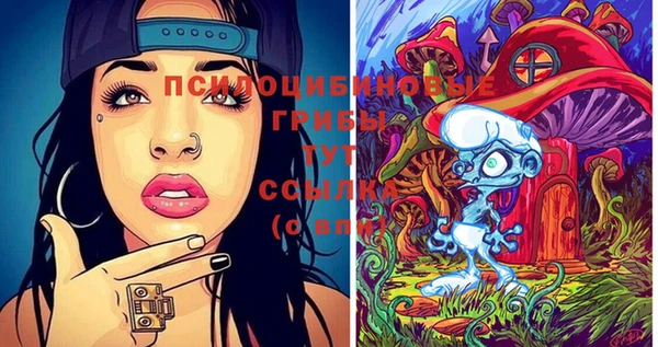 индика Балабаново